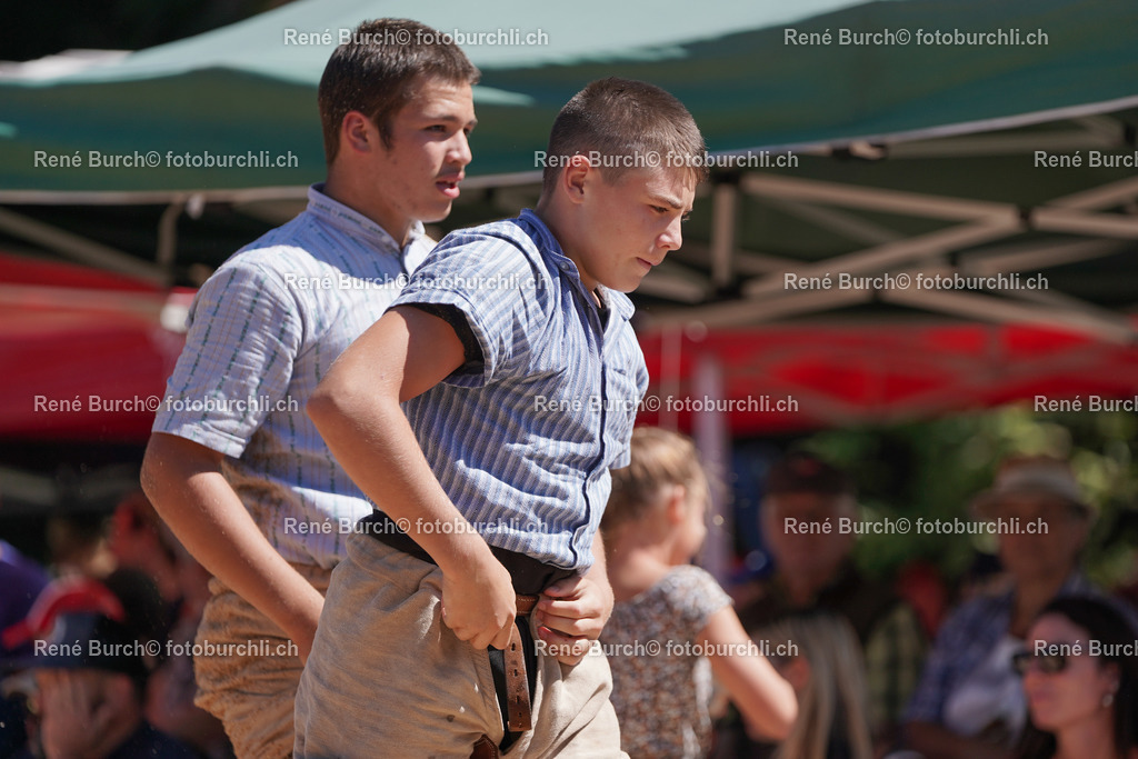 DSC08902 | René Burch leidenschaftlicher Fotograf aus Kerns in Obwalden.  Hier finden sie Sport, Landschaft und Natur Fotografie.
 - Realisiert mit Pictrs.com