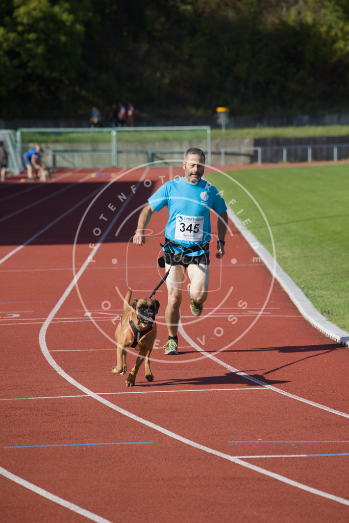 0L8A9107 | Hundefotografie, Tierfotograf, Pfotenfotografie, Fotoshooting Hund, Hunde Portrait, Hundesport, Hundeportraits, Heideshooting, Hunde, Sportfotograf, Hundefotograf, Turnierhundsport, THS,  - Realisiert mit Pictrs.com