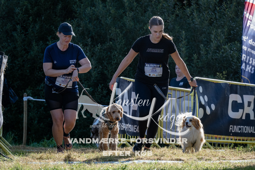 0913_ZZ94532 | kk-dogfotos