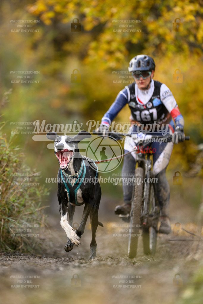 MompixPhotography_ICF_WC_2024_SA_Bike_-230 | PayLife