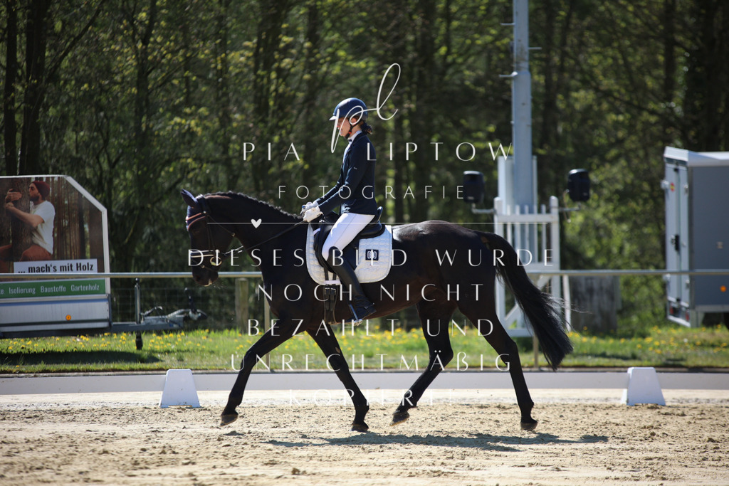 IMGT9818 | pl-fotografie