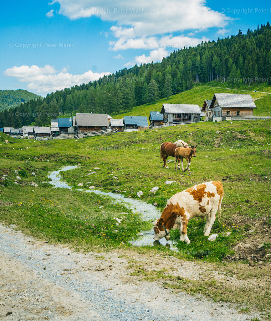 Wandern_Karnische_Milchstrasse_2020-196 | piet_flosse