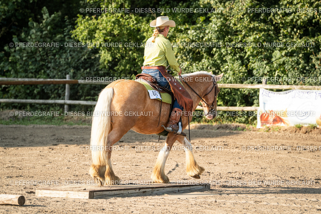 DSC05708 | Pferdegrafie