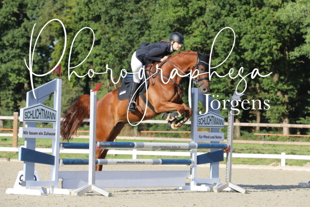 IMG_6335 | photographesa-joergens - Realisiert mit Pictrs.com