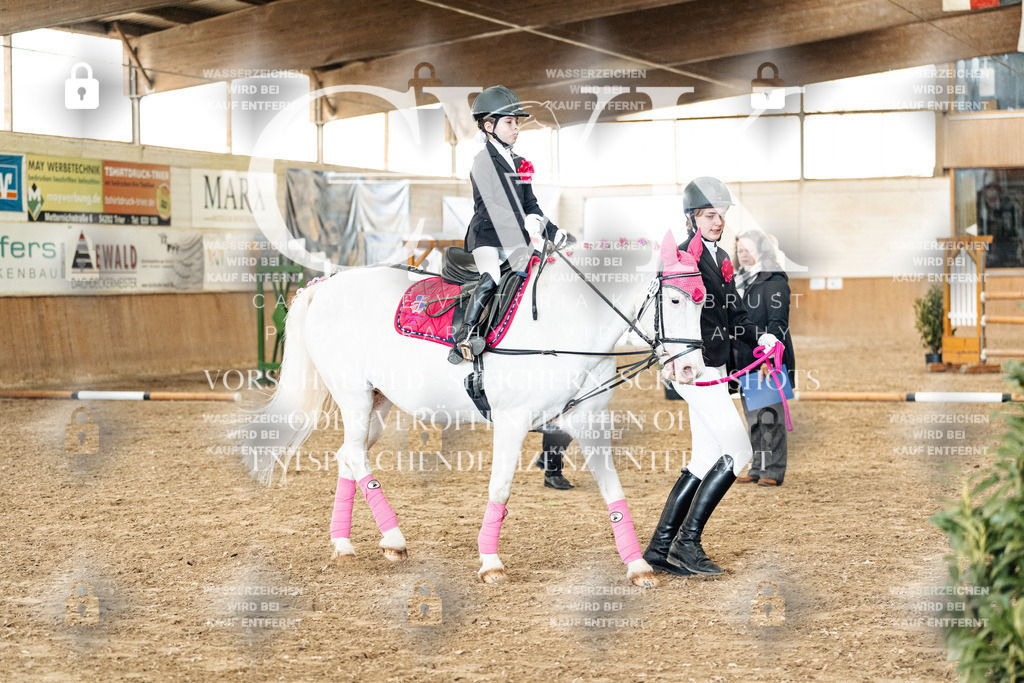 CK905761 | Turnierfotografie Pferdefotografie Trier Rheinland-Pfalz Pferdesport Reitsport Tierfotografie Sportfotografie Pferdevideo Pferdevideografie Equestrianvideography equestrianphotography  - Realized with Pictrs.com