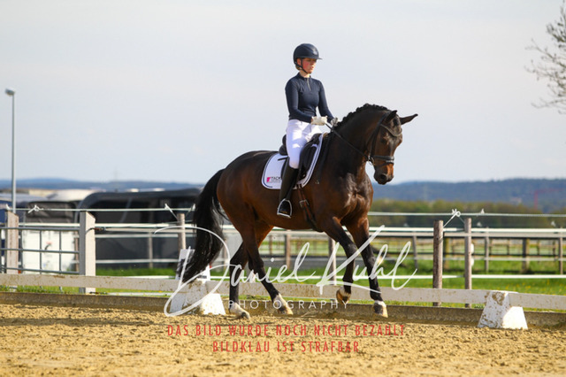 DKP43386 | Turniersportfotografie; Pferdefotografie; Dressurfotografie