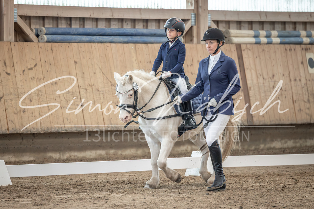 20251011-_3LI8629 | Tierfotografie Pferde, Hunde, Katzen, Haustiere.
Turnierfotografie Reitturniere, Reiten, Springreiten, Dressur in Hanau, dem Main-Kinzig-Kreis und dem Rhein-Main- Gebiet um Frankfurt