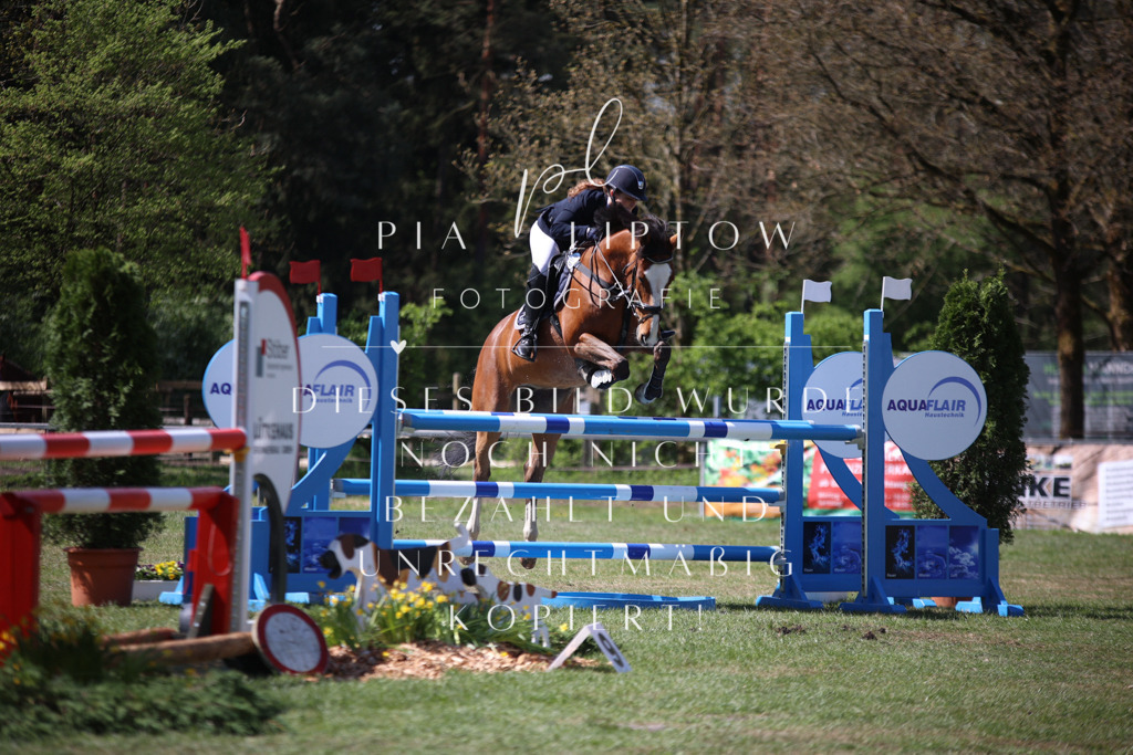 IMGT1094 | pl-fotografie