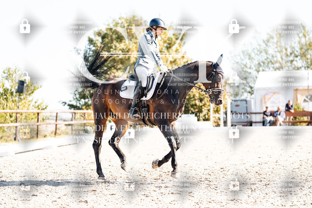 CK908815 | Turnierfotografie Pferdefotografie Trier Rheinland-Pfalz Pferdesport Reitsport Tierfotografie Sportfotografie Pferdevideo Pferdevideografie Equestrianvideography equestrianphotography  - Realisiert mit Pictrs.com
