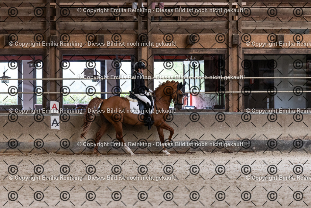 CL5A5195 | Emilia Reinking Fotografie - Realisiert mit Pictrs.com