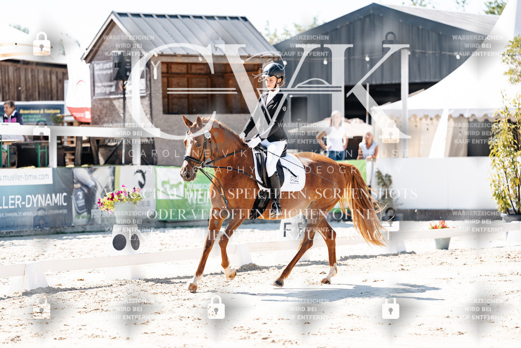 CK902305 | Turnierfotografie Pferdefotografie Trier Rheinland-Pfalz Pferdesport Reitsport Tierfotografie Sportfotografie Pferdevideo Pferdevideografie Equestrianvideography equestrianphotography  - Realisiert mit Pictrs.com