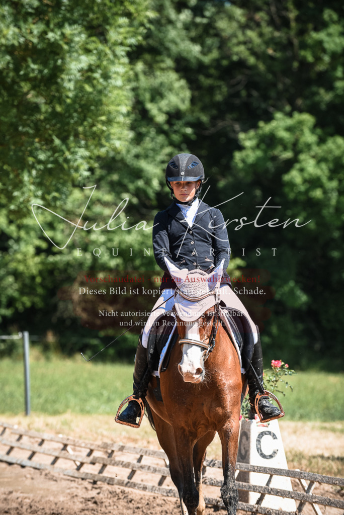 DSC_3163 | Pferde- und Turnierfotografie in Westsachsen. Pferdeportraits, Auftragszeichnungen und intuitive Kunst.