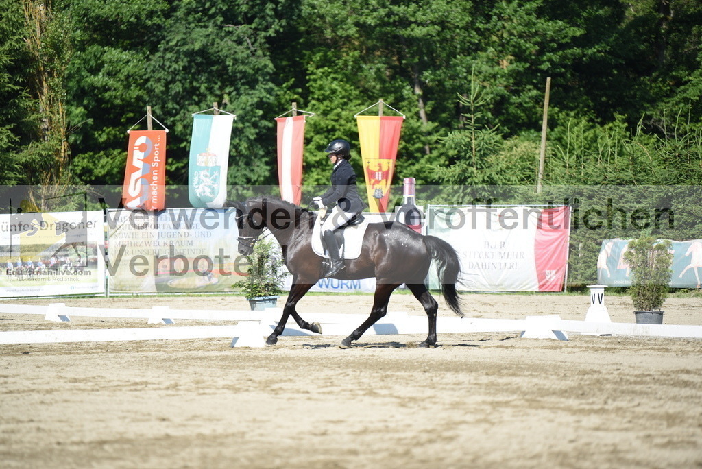 DSC_7511 | equestrian-live-com