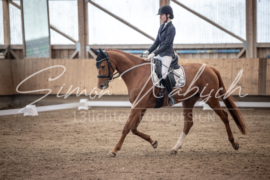 20251011-_3LI0198 | Tierfotografie Pferde, Hunde, Katzen, Haustiere.
Turnierfotografie Reitturniere, Reiten, Springreiten, Dressur in Hanau, dem Main-Kinzig-Kreis und dem Rhein-Main- Gebiet um Frankfurt