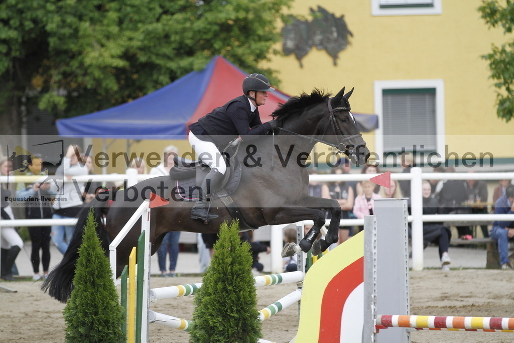 _MG_1184 | equestrian-live-com