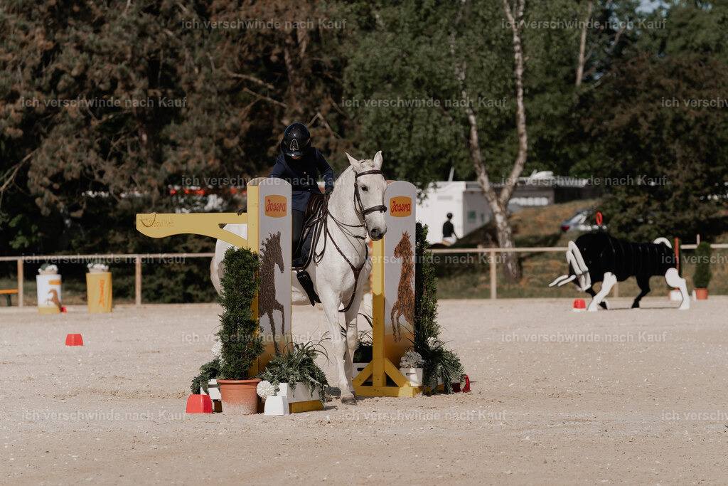 WE_ST_Stoib_328_PI2025_871 | Pferd International München 2025