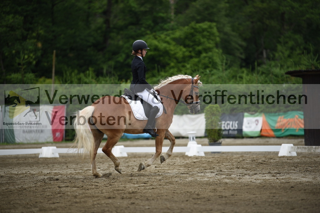 DSC_8139 | equestrian-live-com