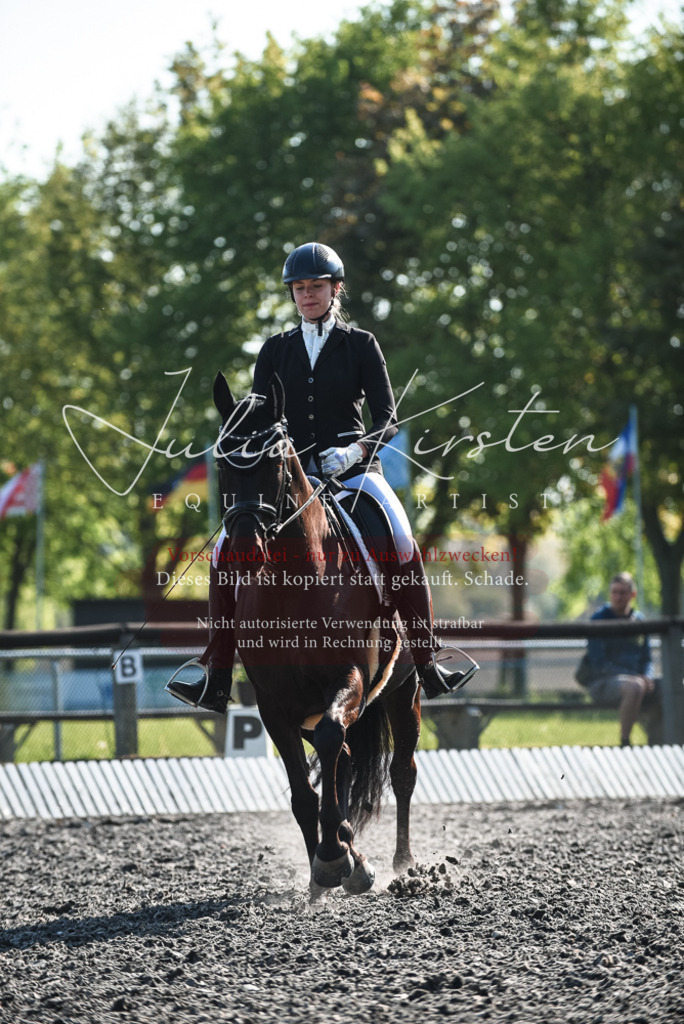 DSC_8369 | Pferde- und Turnierfotografie in Westsachsen. Pferdeportraits, Auftragszeichnungen und intuitive Kunst.