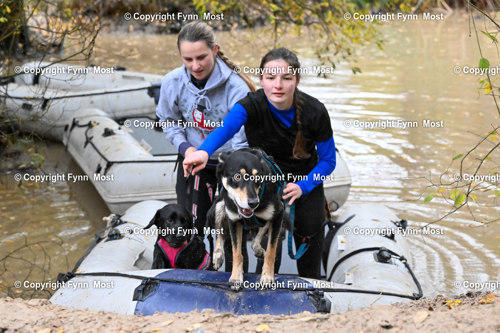 DSC_6175 | Hallo und herzlich Willkommen auf meiner Shop-Seite Fynn Most.

Ich wünsche Dir viel Spaß beim stöbern durch die Bilder, wenn Du Fragen hast oder Bilder vermisst, kannst du mir gerne eine Nachricht schreiben. - Realisiert mit Pictrs.com