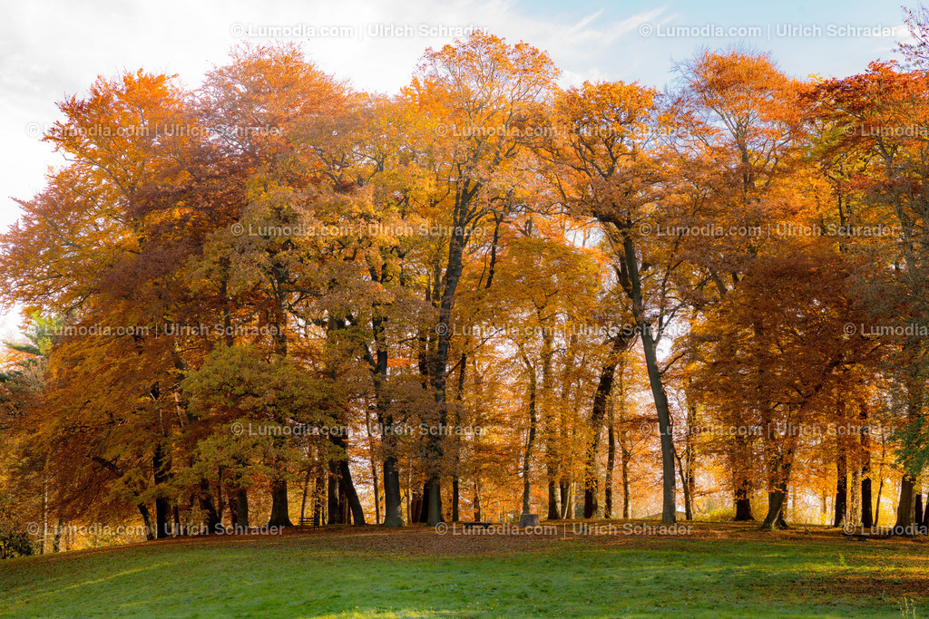 10049-4705 - Schloss und Schlosspark Harbke | Stockfoto und Bilderpool mit Bildmaterial aus Deutschland, dem Harz, Halberstadt, Quedlinburg, Wernigerode und weltweit. Qualitativ hochwertige und professionelle Fotos anschauen und kaufen. - Realisiert mit Pictrs.com