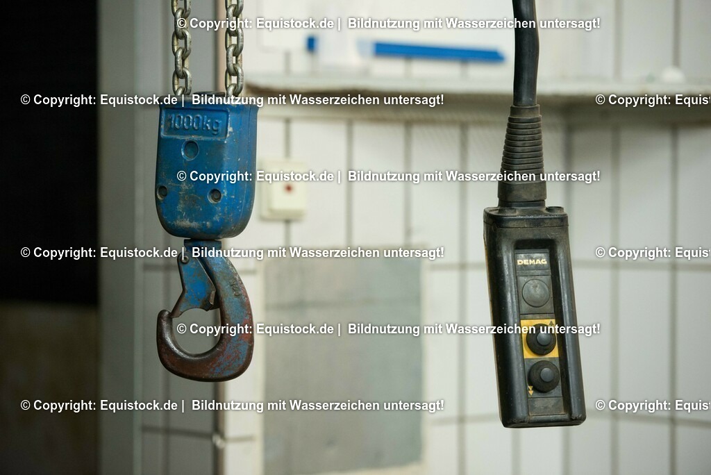 20160309_Sehnenschnitt_OP__0058 | equistock