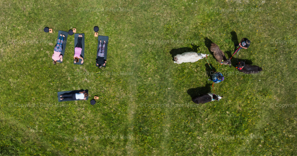 Auszeit_auf_Kärntnerisch_2024-1369 | default