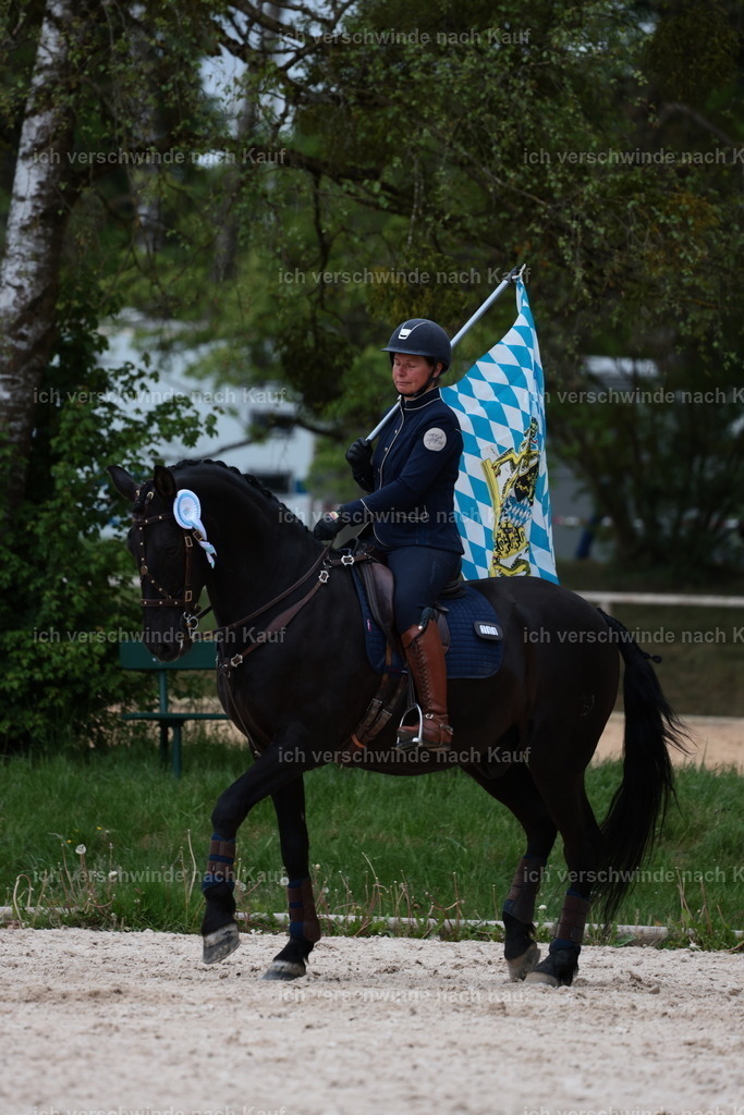PI26_ST_StoibphotographyC2_L9132.JPG | working equitationturnier fotograf videograf stoibphotography marixx film working equitation deutschland reitsport turnierfotografie eventfotografie equestrian events