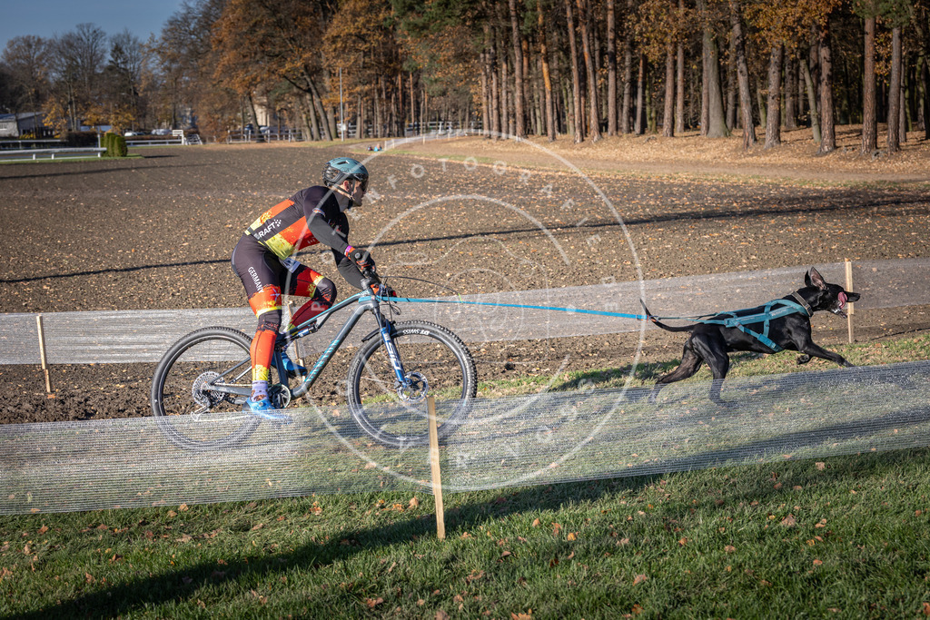 CaniXpix_DV3A3400 | Hundefotografie, Tierfotograf, Pfotenfotografie, Fotoshooting Hund, Hunde Portrait, Hundesport, Hundeportraits, Heideshooting, Hunde, Sportfotograf, Hundefotograf, Turnierhundsport, THS,  - Realisiert mit Pictrs.com