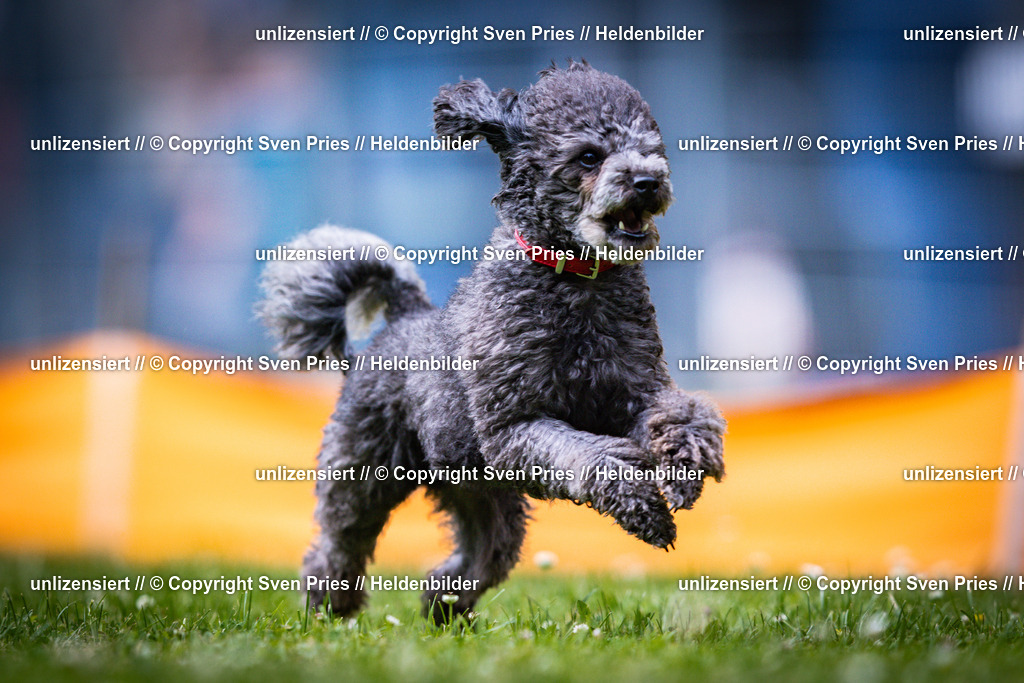 Sven Pries | 2025-05-29 - Pudelrennen KA-Durlach - Realisiert mit Pictrs.com