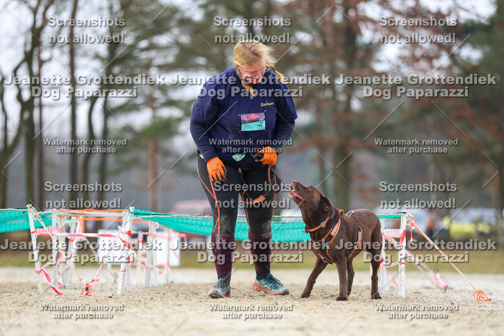Dog Paparazzi - Strongdog North Mrz26-4024 | Dog Paparazzi Jeanette Grottendiek Fotografie & Videografie - Realisiert mit Pictrs.com