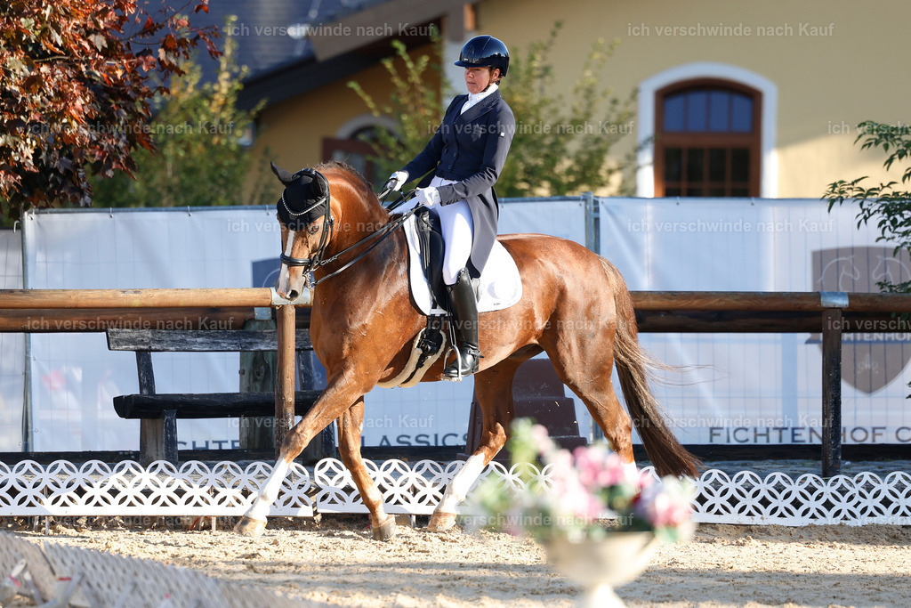 09_1-195-DRESSUR  S_  -StoibPH-5501 | working equitationturnier fotograf videograf stoibphotography marixx film working equitation deutschland reitsport turnierfotografie eventfotografie equestrian events