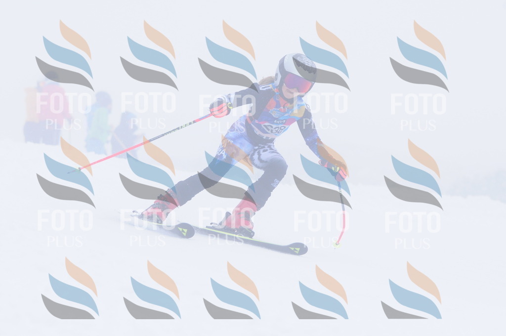 C2499 | holidayphoto