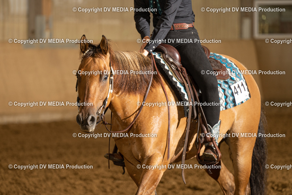 LAU00518 | dv-media-shop - Realisiert mit Pictrs.com