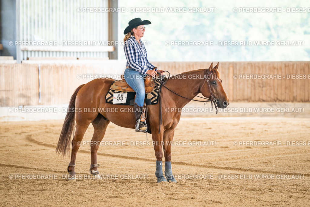 DSC04321 | Pferdegrafie