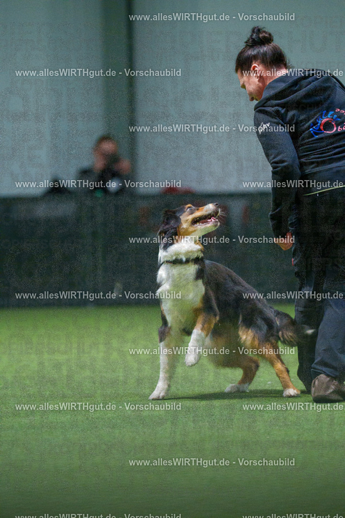 7R506910 | Professionelle Tierfotografie in Mönchengladbach von Daniel Wirth (allesWIRTHgut). Liebevolle & natürliche Bilder von Hunden & Katzen für unvergessliche Erinnerungen.