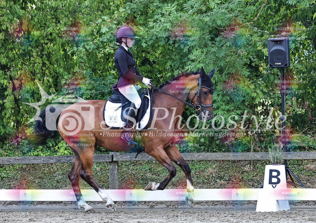 20250726_Dressurprfg_Kl.A-195 | JS-PHOTOSTYLE