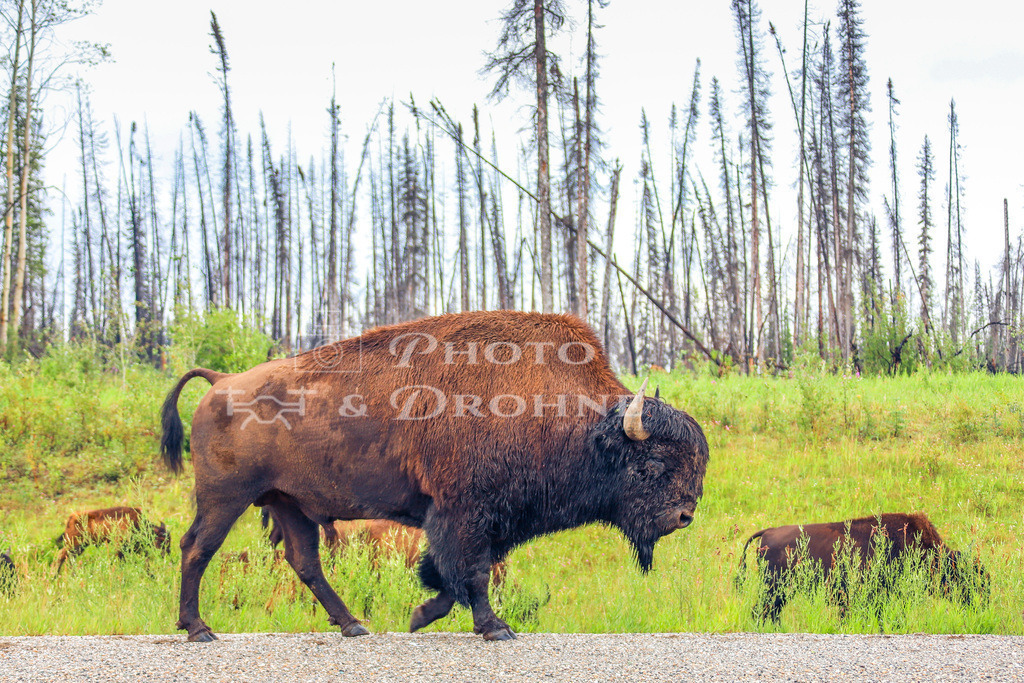 IMG_4353 | Erleben Sie den Zauber des Mittelrheins und entdecken Sie die atemberaubende Auswahl an Fotos und Bildern bei Rheinfotos. Wir bieten eine vielfältige Auswahl an Produkten wie Poster, Karten, Sticker, Textilien und Geschenkartikeln und Fototouren. - Realisiert mit Pictrs.com