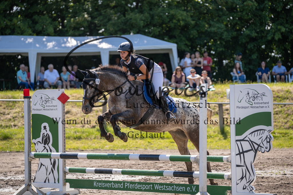 A7V03337 | Pferdefotograf