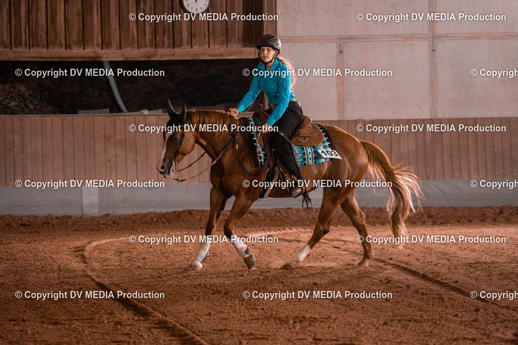 NE201526 | dv-media-shop - Realisiert mit Pictrs.com