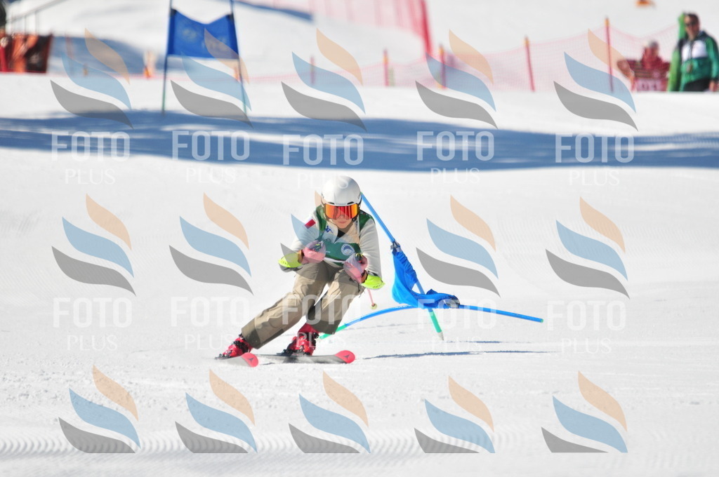 C4216 | holidayphoto