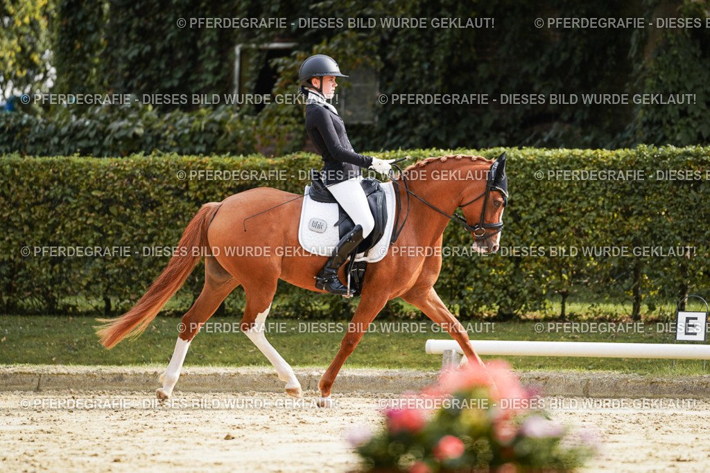 DSC04067 | Pferdegrafie