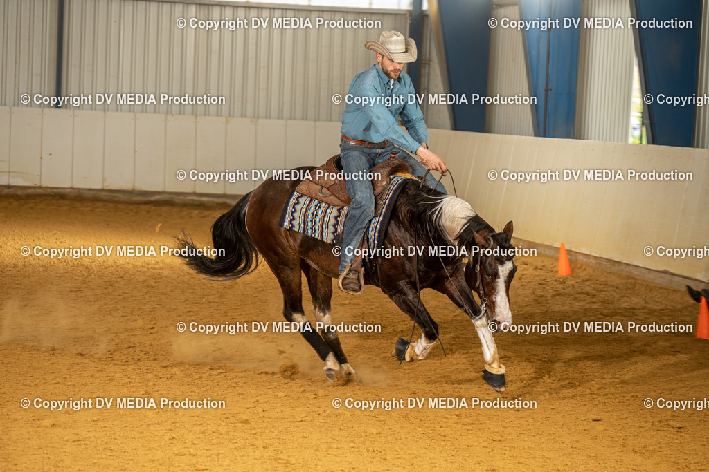 MIT01291 | dv-media-shop - Realisiert mit Pictrs.com