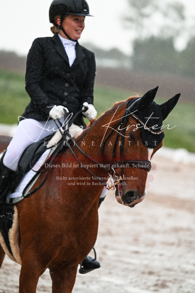 DSC_4616 | Pferde- und Turnierfotografie in Westsachsen. Pferdeportraits, Auftragszeichnungen und intuitive Kunst.