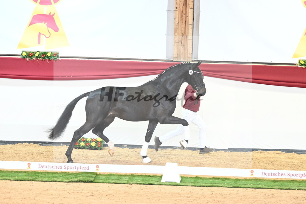 Kat.-Nr. 56 v. Jameson RS2_Fischer_2240720 | hf-fotografie - Realisiert mit Pictrs.com