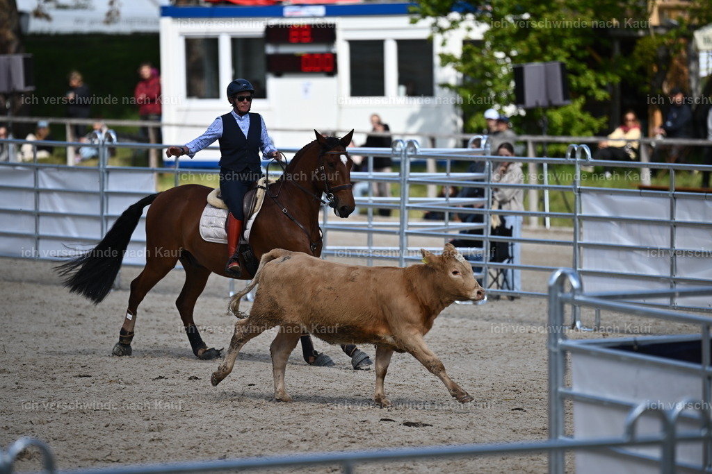 PI26_COW_Sara Landvogt226_7245.JPG | working equitationturnier fotograf videograf stoibphotography marixx film working equitation deutschland reitsport turnierfotografie eventfotografie equestrian events