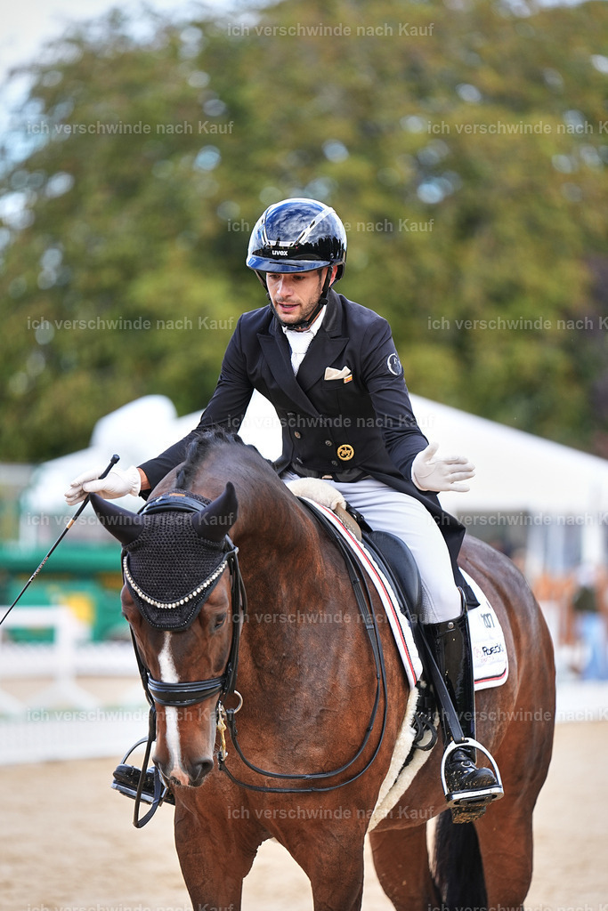 10-207-ST.GEORG SPECIAL -Marixx-3398 | working equitationturnier fotograf videograf stoibphotography marixx film working equitation deutschland reitsport turnierfotografie eventfotografie equestrian events