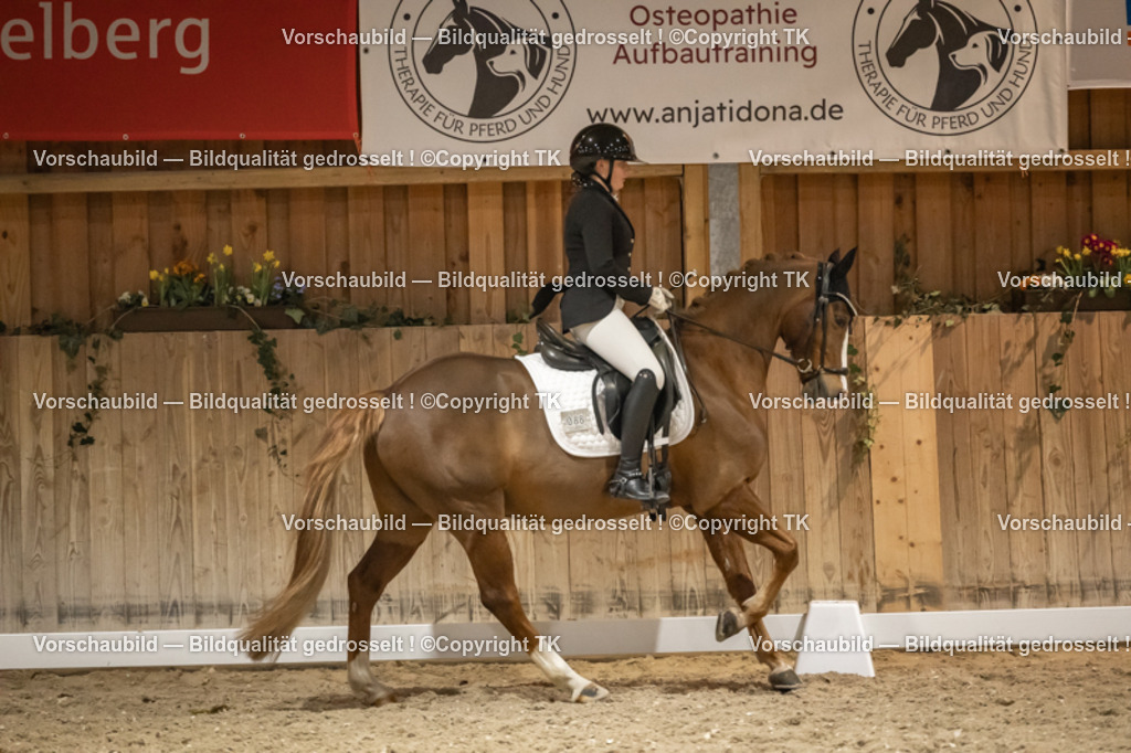 _D5A0893 | Emotionale Pferde- & People-Fotografie rund um Heidelberg, Leimen & Umgebung. Natürliche Fotos von Pferd, Mensch & Familie. Jetzt Termin sichern!