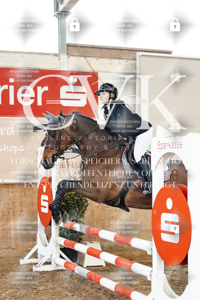 CK904375 | Turnierfotografie Pferdefotografie Trier Rheinland-Pfalz Pferdesport Reitsport Tierfotografie Sportfotografie Pferdevideo Pferdevideografie Equestrianvideography equestrianphotography  - Realisiert mit Pictrs.com