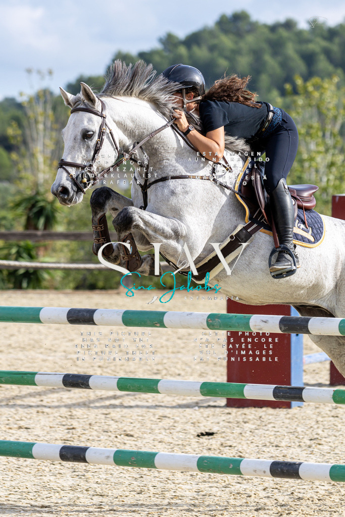 IMG_4155 | s-jay-photography - Realisiert mit Pictrs.com