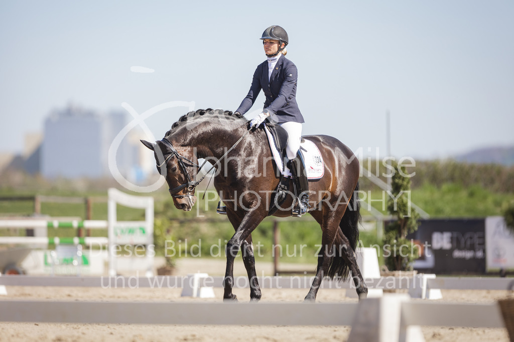220418_Dressurpferde-L-154 | Frühlingsfest der Pferde
Herford
18.April 2022
Dressurpferdeprfg. Kl.L DL2